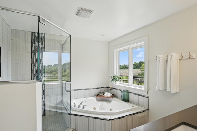 27901 Teale Ave, New Prague, MN 56071 - full bathroom with a shower stall and a tub with jets