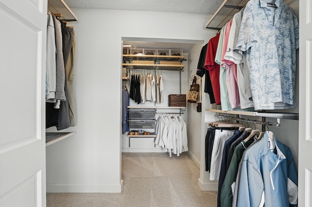 27901 Teale Ave, New Prague, MN 56071 - spacious closet with carpet floors