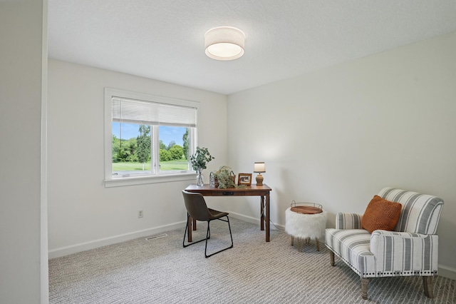 27901 Teale Ave, New Prague, MN 56071 - home office with carpet floors and baseboards