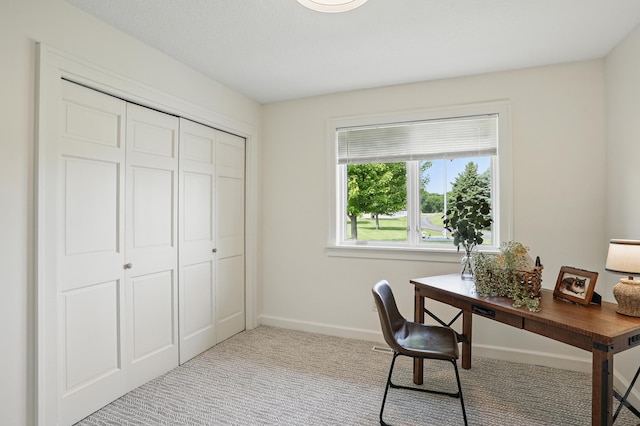 27901 Teale Ave, New Prague, MN 56071 - carpeted home office with baseboards