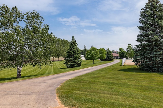 27901 Teale Ave, New Prague, MN 56071 - surrounding community featuring a yard and asphalt driveway