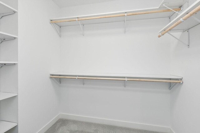 walk in closet with carpet flooring