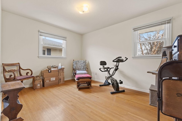 exercise area with baseboards, wood finished floors, and plenty of natural light