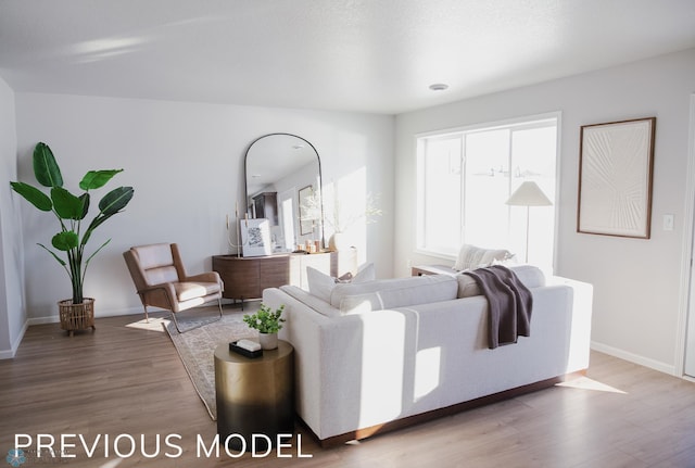 living room featuring baseboards and wood finished floors