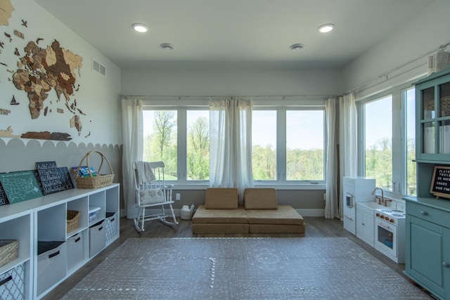 38525 Northstar Dr, Cushing, MN 56443 - living area featuring a wealth of natural light, visible vents, baseboards, and wood finished floors