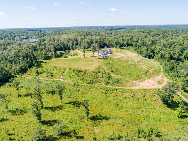 38525 Northstar Dr, Cushing, MN 56443 - bird's eye view featuring a view of trees and a water view
