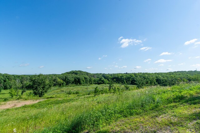 38525 Northstar Dr, Cushing, MN 56443 - view of local wilderness with a forest view