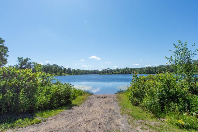 38525 Northstar Dr, Cushing, MN 56443 - water view with a forest view