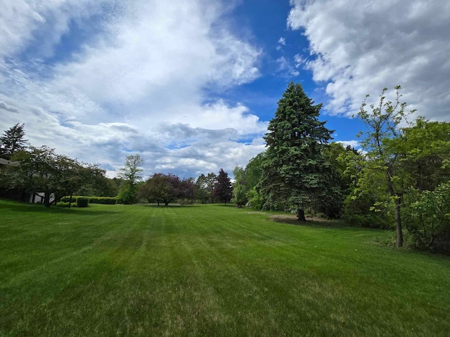 7331 175th Ave NW, Ramsey, MN 55303 - view of green lawn