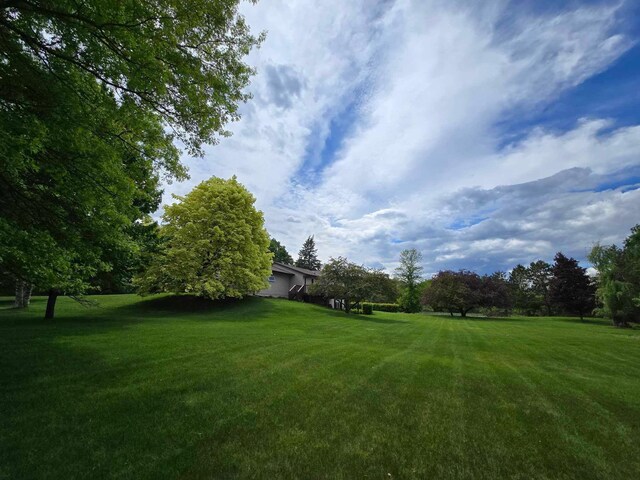 7331 175th Ave NW, Ramsey, MN 55303 - view of grassy yard