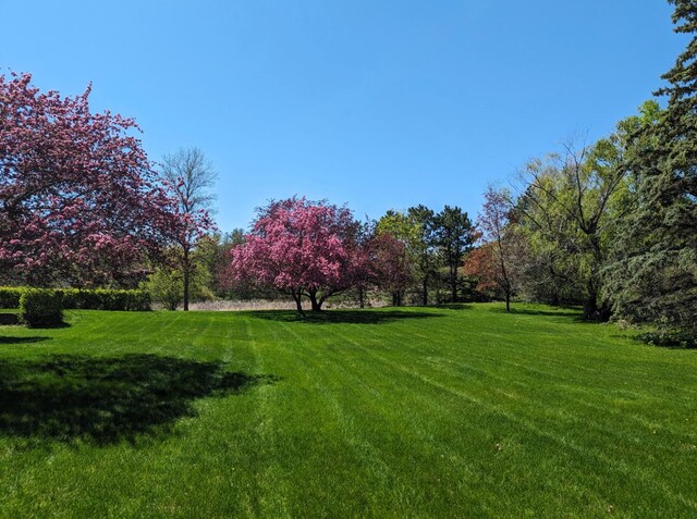 7331 175th Ave NW, Ramsey, MN 55303 - view of green lawn
