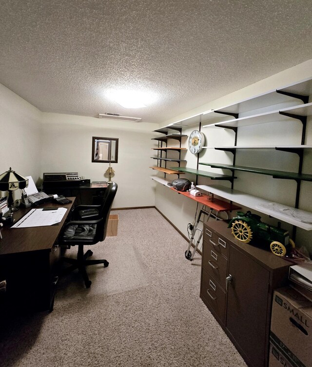 7331 175th Ave NW, Ramsey, MN 55303 - office area with carpet and a textured ceiling