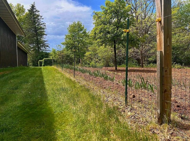 7331 175th Ave NW, Ramsey, MN 55303 - view of yard