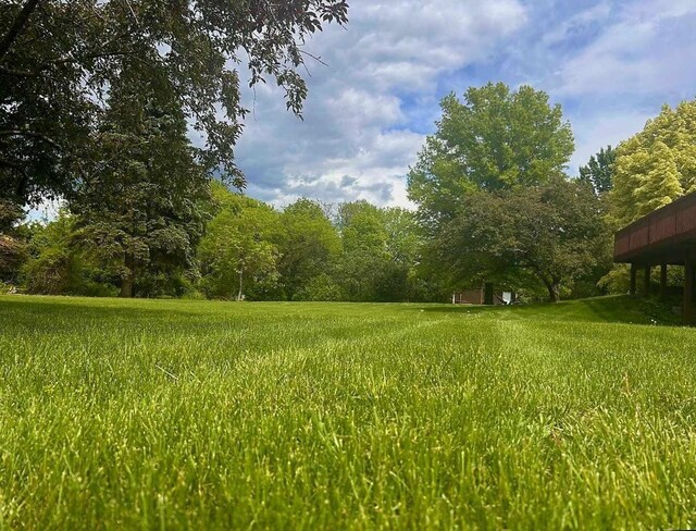 7331 175th Ave NW, Ramsey, MN 55303 - view of yard featuring a wooded view