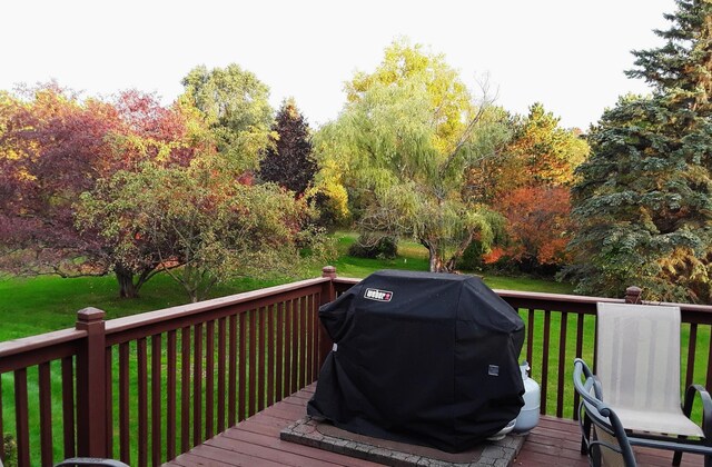 7331 175th Ave NW, Ramsey, MN 55303 - deck with grilling area and a yard