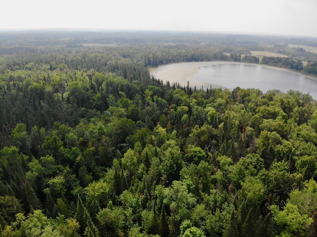 44192 Pioneer Rd, Windemere Twp, MN 55783