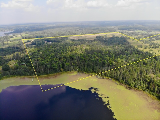 44192 Pioneer Rd, Windemere Twp, MN 55783