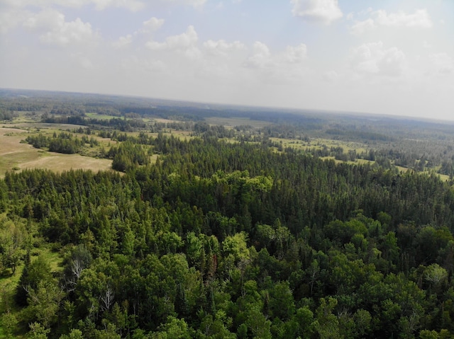 44192 Pioneer Rd, Windemere Twp, MN 55783