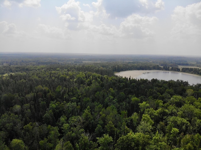 44192 Pioneer Rd, Windemere Twp, MN 55783