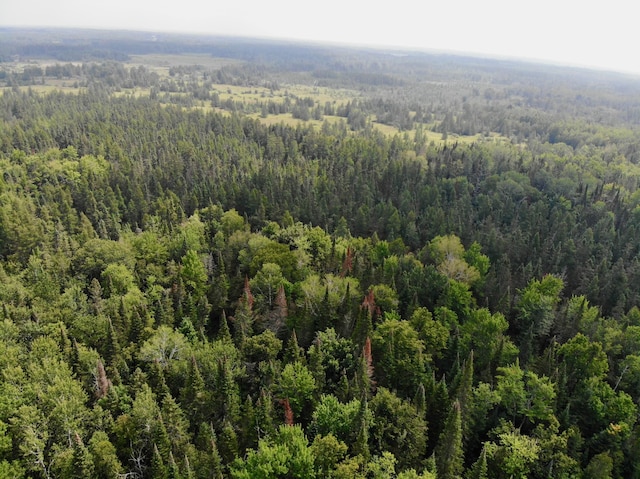 44192 Pioneer Rd, Windemere Twp, MN 55783