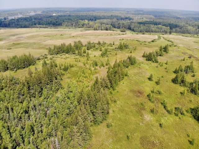 44192 Pioneer Rd, Windemere Twp, MN 55783