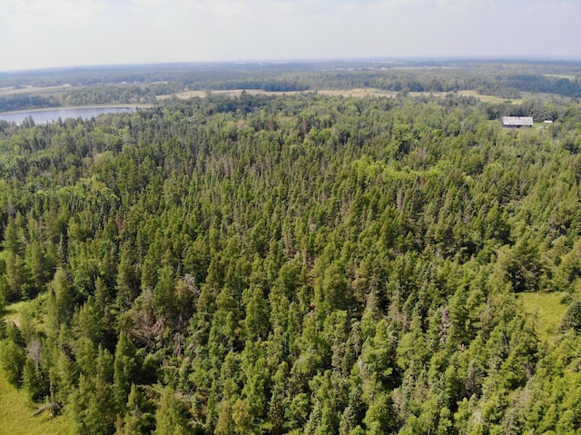 44192 Pioneer Rd, Windemere Twp, MN 55783