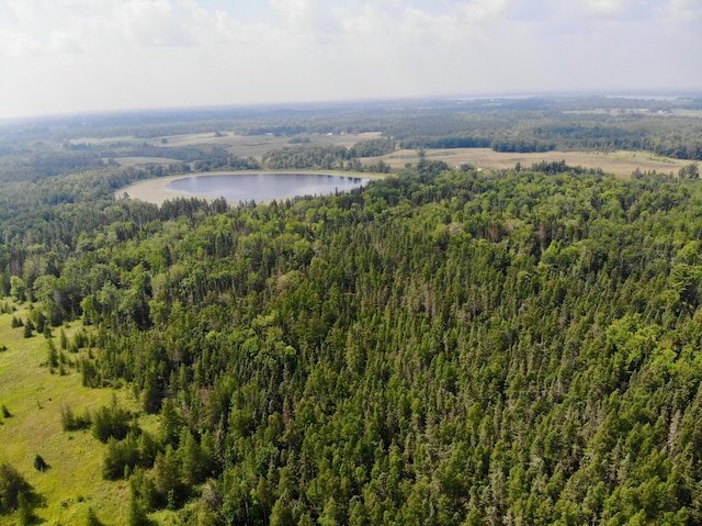 44192 Pioneer Rd, Windemere Twp, MN 55783