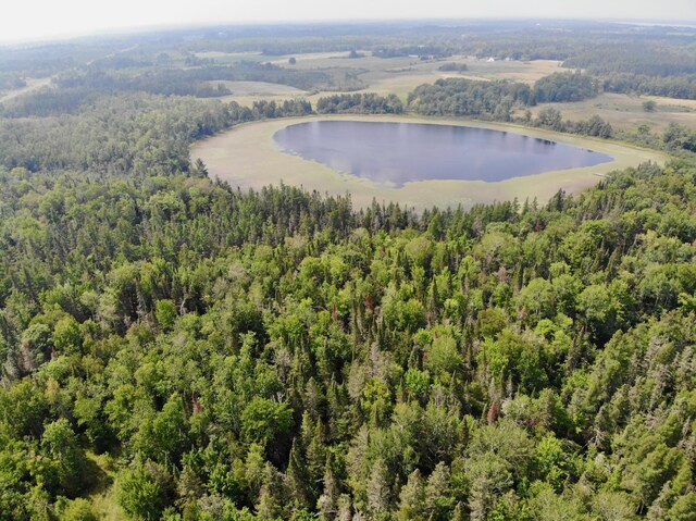 44192 Pioneer Rd, Windemere Twp, MN 55783
