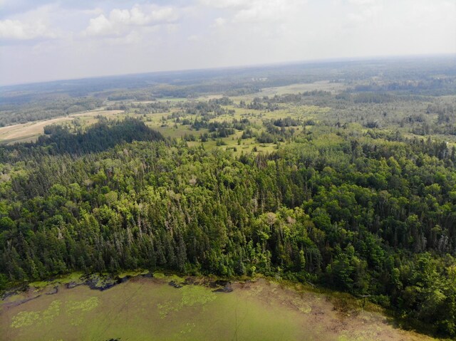 44192 Pioneer Rd, Windemere Twp, MN 55783