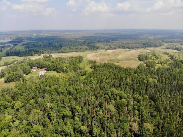 44192 Pioneer Rd, Windemere Twp, MN 55783