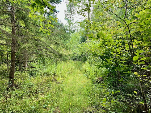 44192 Pioneer Rd, Windemere Twp, MN 55783