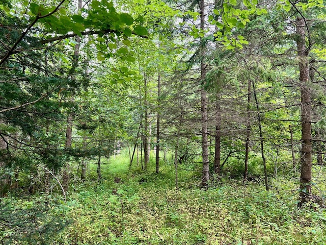 44192 Pioneer Rd, Windemere Twp, MN 55783