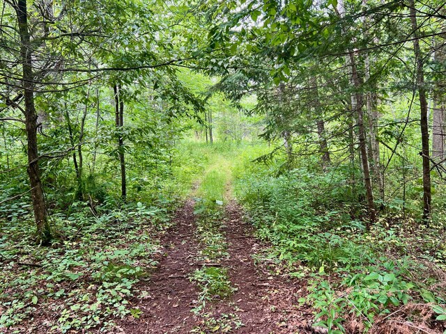 44192 Pioneer Rd, Windemere Twp, MN 55783