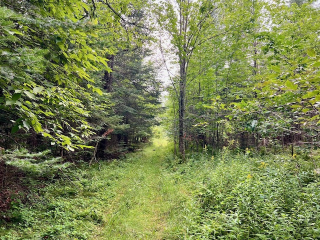 44192 Pioneer Rd, Windemere Twp, MN 55783