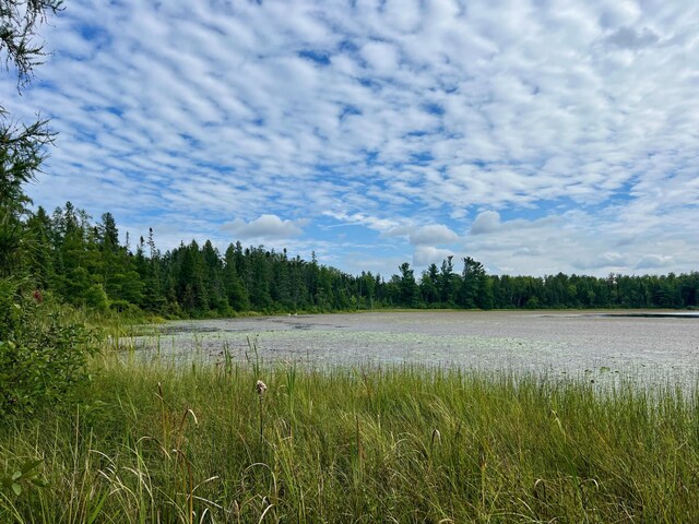 44192 Pioneer Rd, Windemere Twp, MN 55783