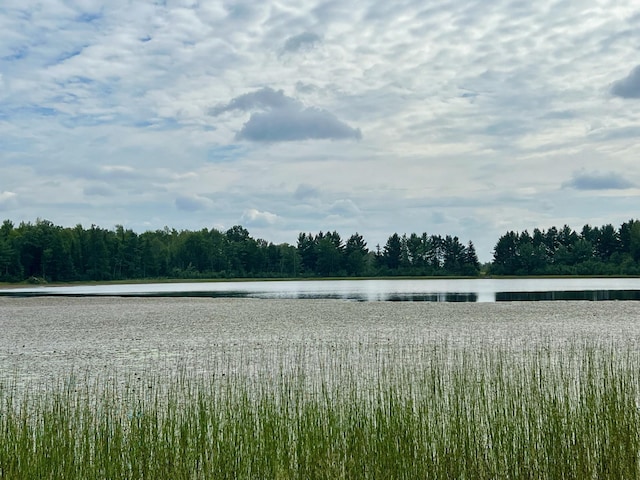 44192 Pioneer Rd, Windemere Twp, MN 55783