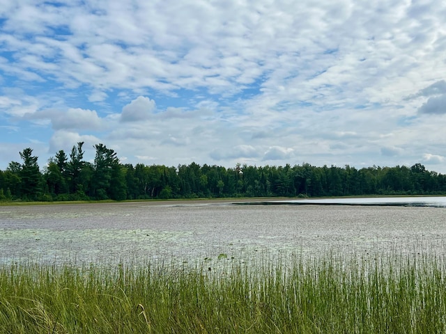 44192 Pioneer Rd, Windemere Twp, MN 55783
