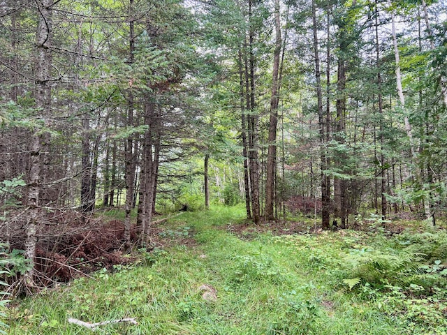 44192 Pioneer Rd, Windemere Twp, MN 55783