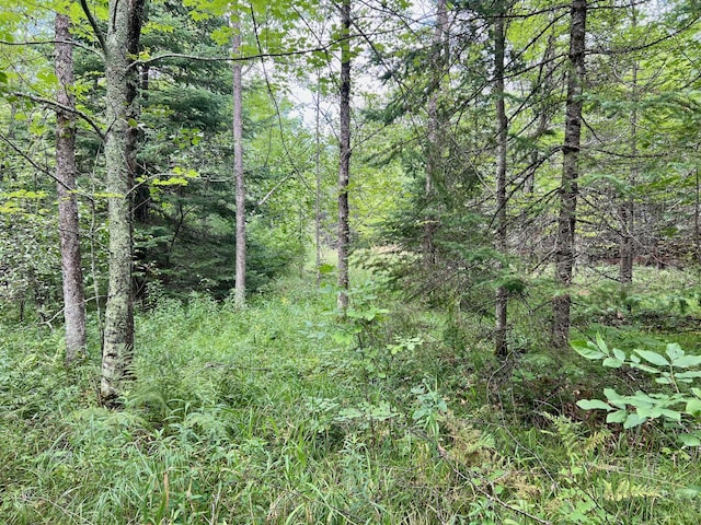 44192 Pioneer Rd, Windemere Twp, MN 55783