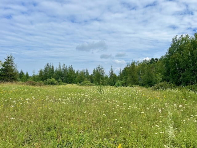 44192 Pioneer Rd, Windemere Twp, MN 55783