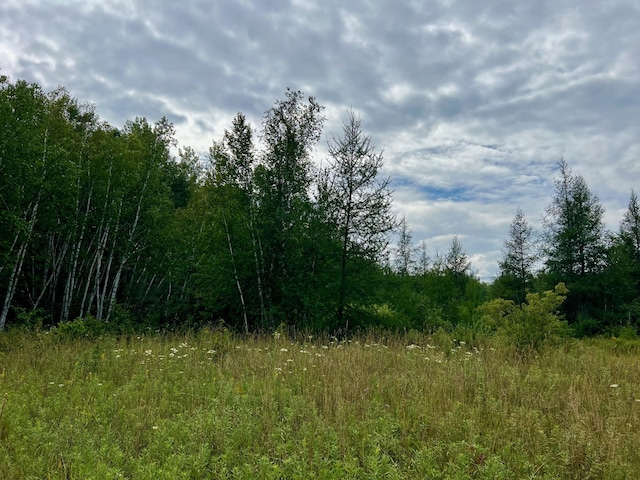 44192 Pioneer Rd, Windemere Twp, MN 55783