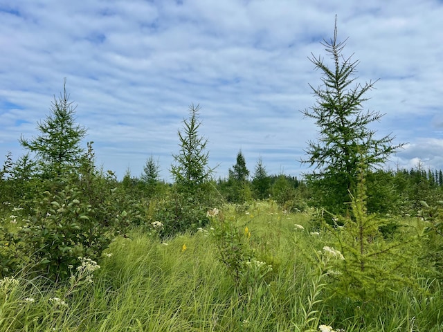 44192 Pioneer Rd, Windemere Twp, MN 55783