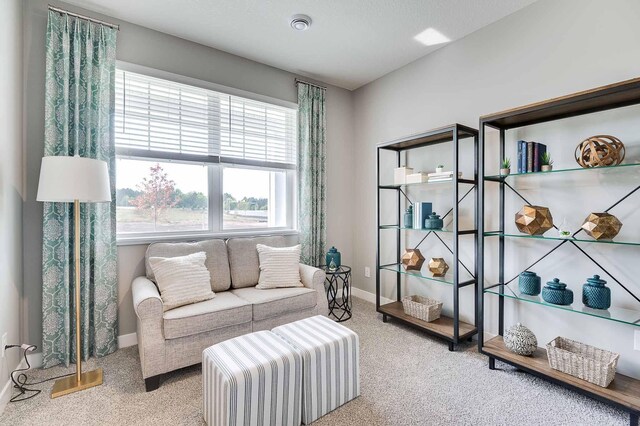 sitting room with carpet flooring and baseboards