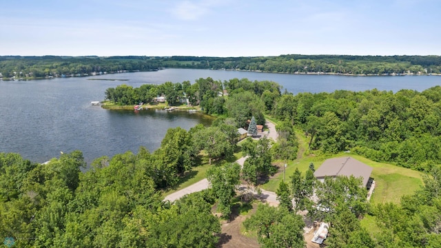 15360 Summer Island Rd, Lake Eunice Twp, MN 56554 - photo 36