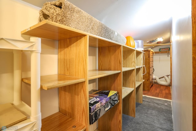 929 16th St N, Moorhead, MN 56560 - spacious closet featuring dark carpet
