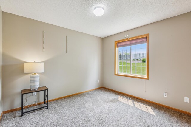 14 3rd St NW, Saint Michael, MN 55376 - empty room featuring carpet floors, a textured ceiling, and baseboards