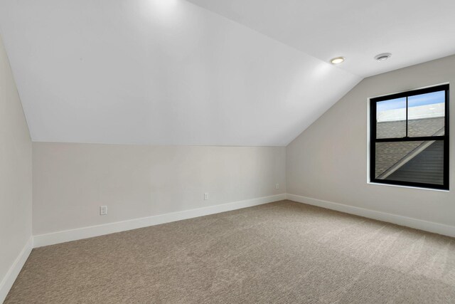 11694 Indian Beach Rd, Spicer, MN 56288 - bonus room with lofted ceiling and carpet