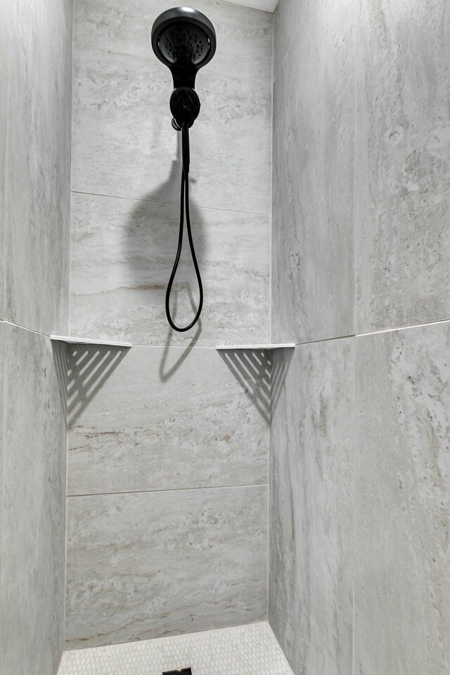 11694 Indian Beach Rd, Spicer, MN 56288 - bathroom view of a tile shower