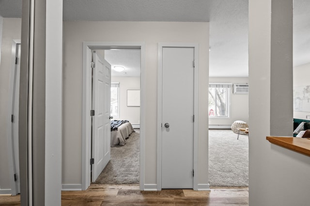 3729 Snelling Ave Unit 203, Minneapolis, MN 55406 - hall featuring a baseboard heating unit, baseboard heating, an AC wall unit, and wood finished floors