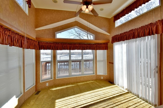 18096 Browns Lake Rd # 17, Richmond, MN 56368 - unfurnished sunroom featuring carpet flooring, high vaulted ceiling, and visible vents